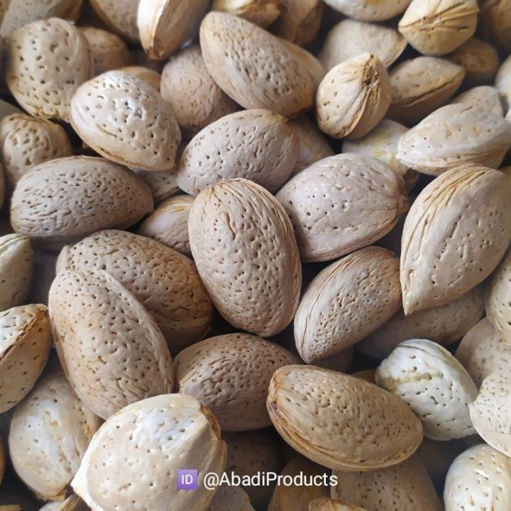 بادام دیم ارگانیک (500 گرمی)